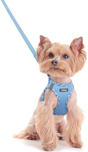 rabbitgoo Dog Harness Small Sized and Leash Set, Step-in Puppy Pet Vest