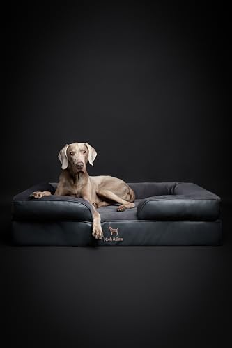 NOAH & PAW XL Dog Bed, 45x35x11 Inch, Orthopedic Large Dog Beds, Eggshell Memory Foam Infused with Cooling Gel, Inner Cover, Water Resistant, Machine Washable (Faux Leather)