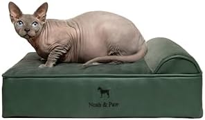 NOAH & PAW Small Dog Bed, 20x15x6.5 Inch, Cat Bed for Indoor Cats, Orthopedic Eggshell Memory Foam Infused with Cooling Gel, Water Resistant, Machine Washable, Includes Inner Cover (Faux Leather)