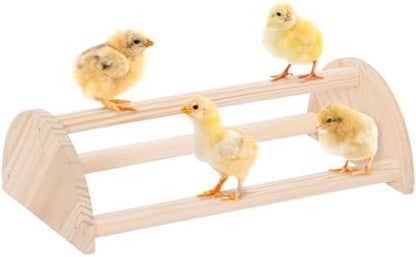 PETSFIT Baby Chick Roosting Bar, Anti-Rotation, Solid Wood, for Brooder