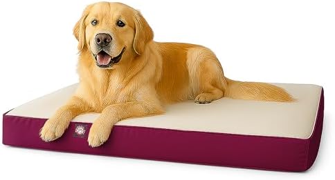 34x48 Burgundy Orthopedic Double Pet Bed By Majestic Pet Products-Large/Extra Large