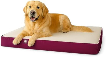 34x48 Burgundy Orthopedic Double Pet Bed By Majestic Pet Products-Large/Extra Large