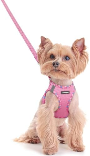 rabbitgoo Dog Harness Small Sized and Leash Set, Step-in Puppy Pet Vest