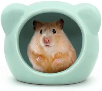 Ceramic Hamster House, Cute Animal Shaped Hamster Cave, Summer Cool Small Animal Hideout Habitat Decor for Dwarf Hamsters (Green)