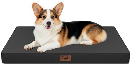 Outdoor Waterproof Orthopedic Dog Bed for Large Dogs
