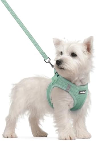 rabbitgoo Dog Harness Small Sized and Leash Set, Step-in Puppy Pet Vest