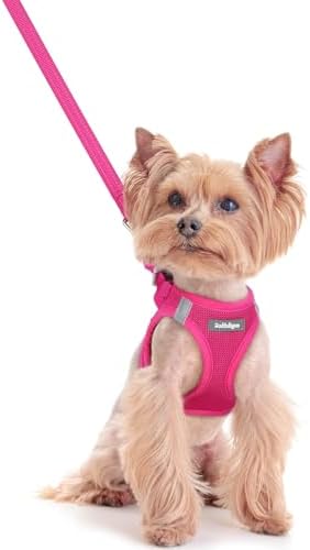 rabbitgoo Dog Harness Small Sized and Leash Set, Step-in Puppy Pet Vest