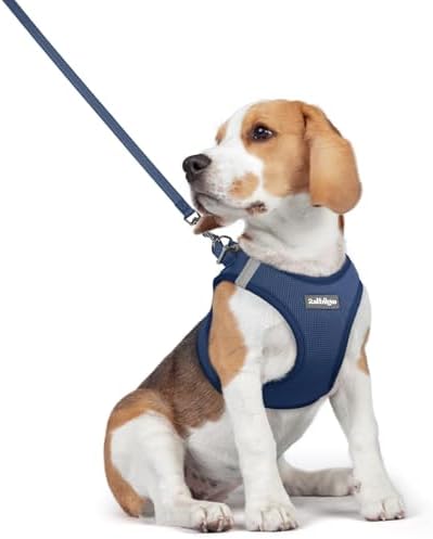 rabbitgoo Dog Harness Medium Sized and Leash Set, Step-in Puppy Pet Vest
