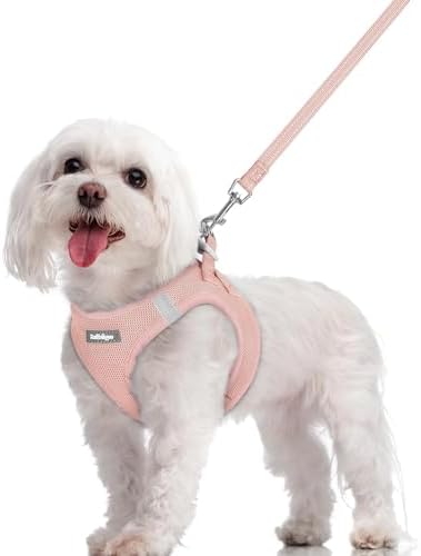 rabbitgoo Dog Harness Medium Sized and Leash Set, Step-in Puppy Pet Vest