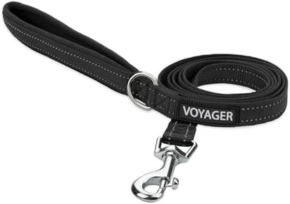 Best Pet Supplies Voyager Nylon Dog Leash - Black, Small