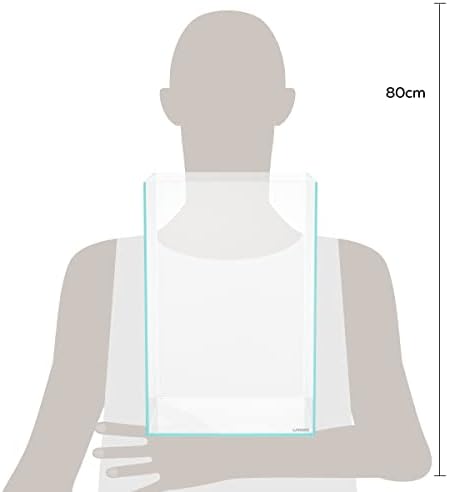 LANDEN Aquarium Tall 10 Gallon Ultra Clear Glass Rimless Fish Tank 30T