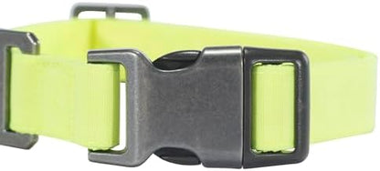 Carhartt Nylon Duck Dog Collar, Fully Adjustable Durable 2-Ply Cordura Nylon Canvas Collars for Dogs, Brite Lime, Large