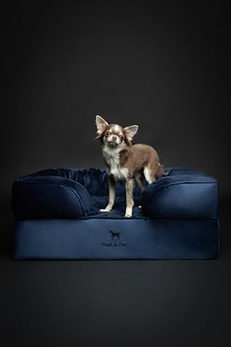NOAH & PAW Dog Bed, 28x23x11 Inch, Orthopedic Dog Beds for Medium Size Pets, Eggshell Memory Foam Infused with Cooling Gel, Inner Cover, Water Resistant, Machine Washable (Velvet Sofa Collection)
