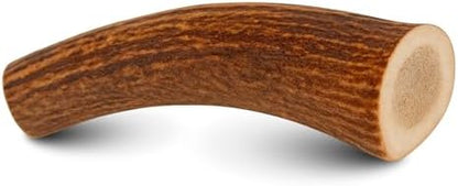 WhiteTail Naturals Whole Deer Antler Dog Chew - Medium 5-6" - 1Ct.