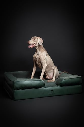 NOAH & PAW XL Dog Bed, 45x35x11 Inch, Orthopedic Large Dog Beds, Eggshell Memory Foam Infused with Cooling Gel, Inner Cover, Water Resistant, Machine Washable (Faux Leather)
