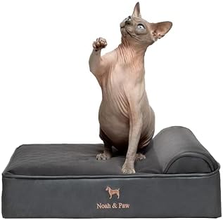 NOAH & PAW Small Dog Bed, 20x15x6.5 Inch, Cat Bed for Indoor Cats, Orthopedic Eggshell Memory Foam Infused with Cooling Gel, Water Resistant, Machine Washable, Includes Inner Cover (Faux Leather)