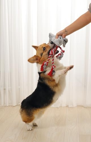 M-PETS Terra ECO Dog Toy – Squeaky Plush Dog Toy Made from Recycled Plastic Bottles, Soft & Durable Eco-Friendly Dog Toy (Bailey, Red & Grey)