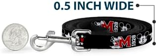 Disney Dog Leash