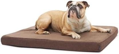 BarkBox Orthopedic Dog Bed - Medium