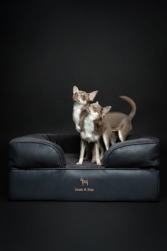 NOAH & PAW Dog Bed, 28x23x11 Inch, Orthopedic Dog Beds for Medium Size Pets, Eggshell Memory Foam Infused with Cooling Gel, Inner Cover, Water Resistant, Machine Washable (Faux Leather)