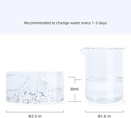Niteangel Hamster Feeding & Water Bowl- 50ml Capacity & No Wet Fur for Pet
