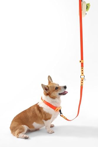 Medium Luna 8FT Adjustable 6-in-1 Waterproof Hands-Free Leash and Collar Set with LED Flashlight, Waste Bag Dispenser, and Poop Bag Holder, Orange, Aperol WLK1005A-5SET