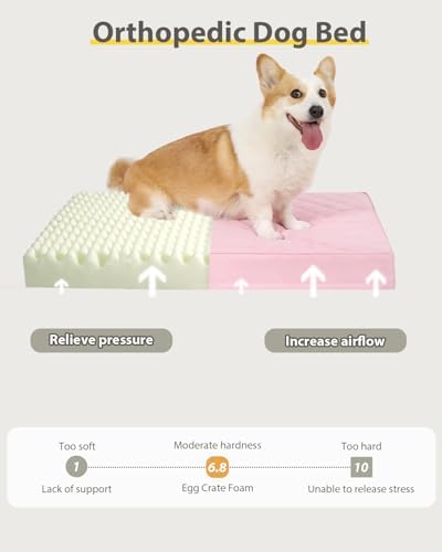 NUPIDA Orthopedic Large Dog Bed for Crate with Washable Cover, 35x22, Pink