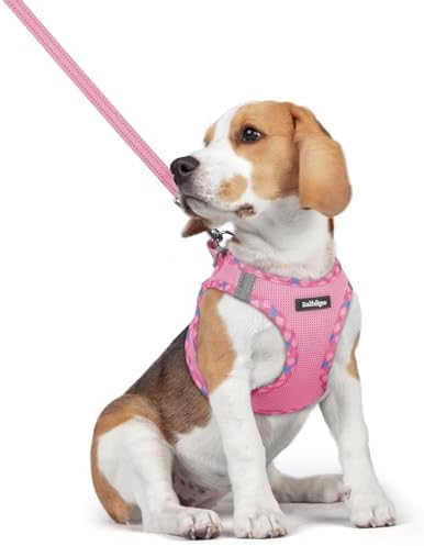 rabbitgoo Dog Harness Medium Sized and Leash Set, Step-in Puppy Pet Vest
