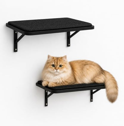 Cat Wall Shelves Set of 2, Black Solid Wood Window Perches with Sisal Mats