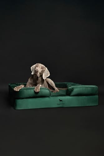 NOAH & PAW XL Dog Bed, 45x35x11 Inch, Orthopedic Large Dog Beds, Eggshell Memory Foam Infused with Cooling Gel, Inner Cover, Water Resistant, Machine Washable (Velvet Sofa Collection)