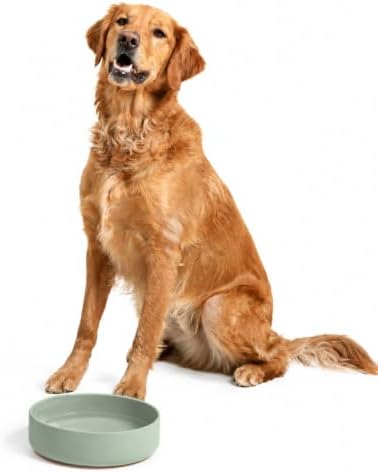 The Perfect Dish - Silicone Dog Bowl for Food & Water, 9.5" x 2.5"- Sage