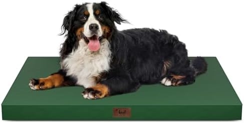 Outdoor Extra Large Dog Bed XXL for Giant Breed Dogs