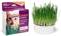 SmartyKat Sweet Greens Cat Grass Kit
