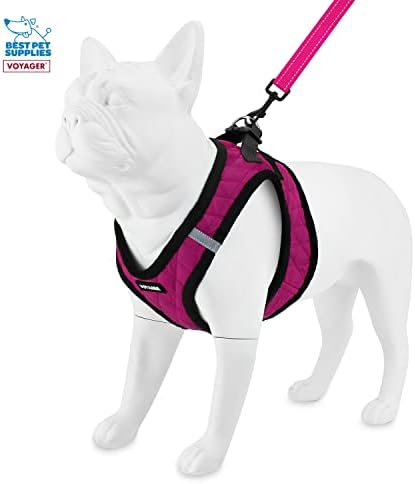 Best Pet Supplies Voyager Step-in Plush Dog Harness - Soft, Step in Vest Harness and Reflective Dog 5 ft Leash Combo with Neoprene Handle for Small and Medium Dogs, Red Rose Plush, XL