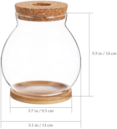 Balacoo Desktop Hydroponic Fish Bowl - Clear Glass Small Fish Tank