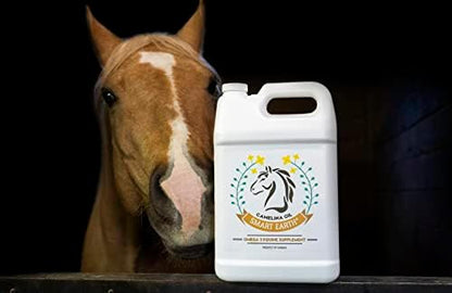 100% Pure Camelina Oil for Horses – Omega 3 & Vitamin E Rich Supplement for Coat, Hooves, Arthritis, Joints, Weight Gain & Ulcers – False Flaxseed Oil Made in Canada by Smart Earth, 1gal.