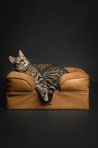 NOAH & PAW Small Dog Bed, 20x15x8 Inch, Cat Bed for Indoor Cats, Orthopedic Eggshell Memory Foam Infused with Cooling Gel, Water Resistant Inner Cover Machine Washable (Faux Leather)