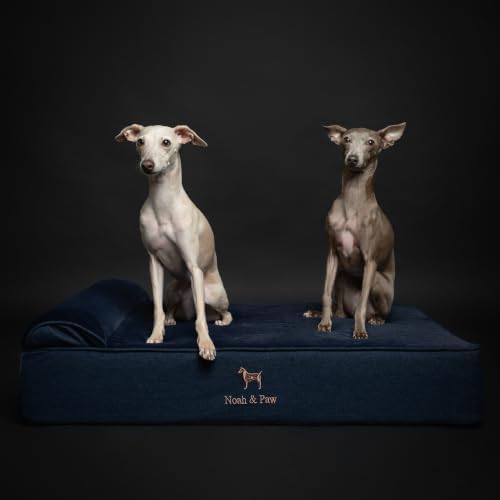 NOAH & PAW Large Dog Bed, 35x25x8.7 Inch, Orthopedic Dog Beds, Eggshell Memory Foam Infused with Cooling Gel, Water Resistant, Machine Washable, Includes Inner Cover (Denim Collection)