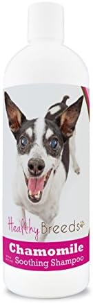 Healthy Breeds Rat Terrier Chamomile Soothing Dog Shampoo 8 oz
