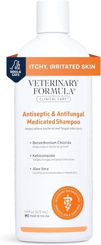 Veterinary Formula Clinical Care Antiseptic and Antifungal Medicated Shampoo for Dogs & Cats, 16 Fl Oz – Helps Alleviate Scaly, Greasy, red Skin – Paraben, Dye, Soap-Free (Pack of 12)