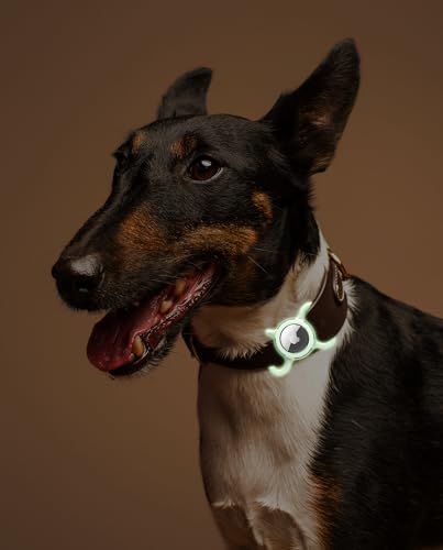 Waterproof AirTag Holder for Dog Collar, Soft Slide-On Dog AirTag Holder