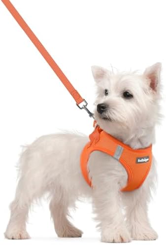 rabbitgoo Dog Harness Small Sized and Leash Set, Step-in Puppy Pet Vest