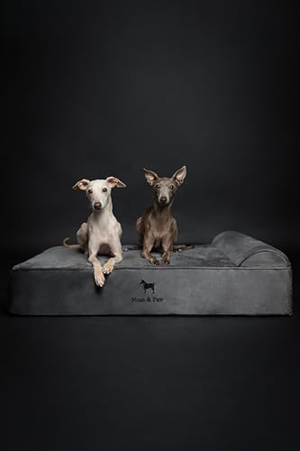 NOAH & PAW Large Dog Bed, 35x25x8.7 Inch, Orthopedic Dog Beds, Eggshell Memory Foam Infused with Cooling Gel, Water Resistant, Machine Washable, Includes Inner Cover (Velvet Collection)