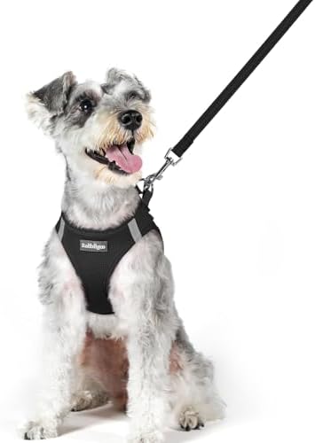 rabbitgoo Dog Harness Medium Sized and Leash Set, Step-in Puppy Pet Vest