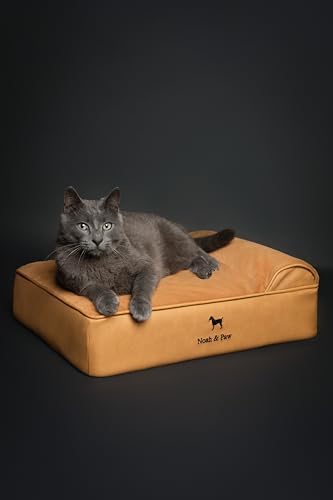NOAH & PAW Small Dog Bed, 20x15x6.5 Inch, Cat Bed for Indoor Cats, Orthopedic Eggshell Memory Foam Infused with Cooling Gel, Water Resistant, Machine Washable, Includes Inner Cover (Faux Leather)