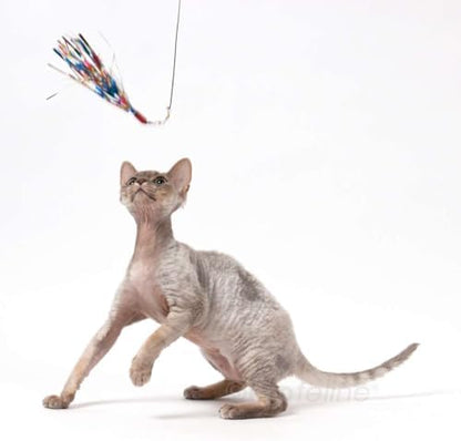 GoCat Da Bird Cat Toy Refill Accessories, Handmade in the USA, Sparkler