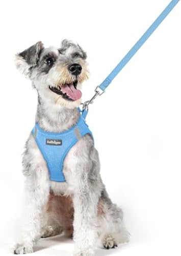 rabbitgoo Dog Harness Medium Sized and Leash Set, Step-in Puppy Pet Vest