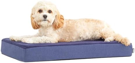 BarkBox Orthopedic Dog Bed - Small