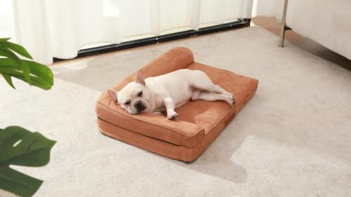 Rainmr Microsuede Dog Bed Orthopedic Washable - Small Medium XLarge Dogs - Memory Foam Couch Sofa with Waterproof Removable Cover, 30x20 Inches, Khaki
