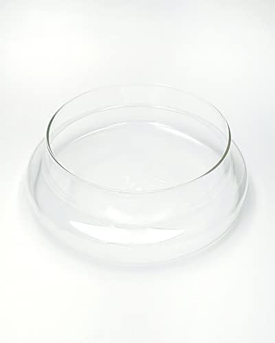 Handblown 10" Glass Terrarium with Opening for Air Flow & Cork Stopper Cloche Style Glass Dome Vivarium Display Case (Large)